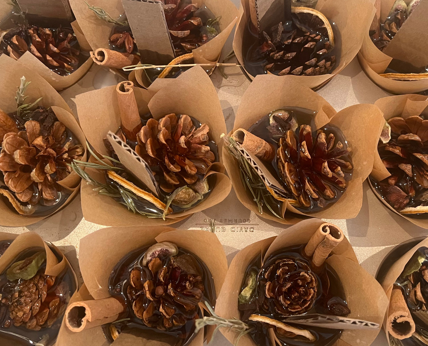 Pinecone Fire Starters 4-pack