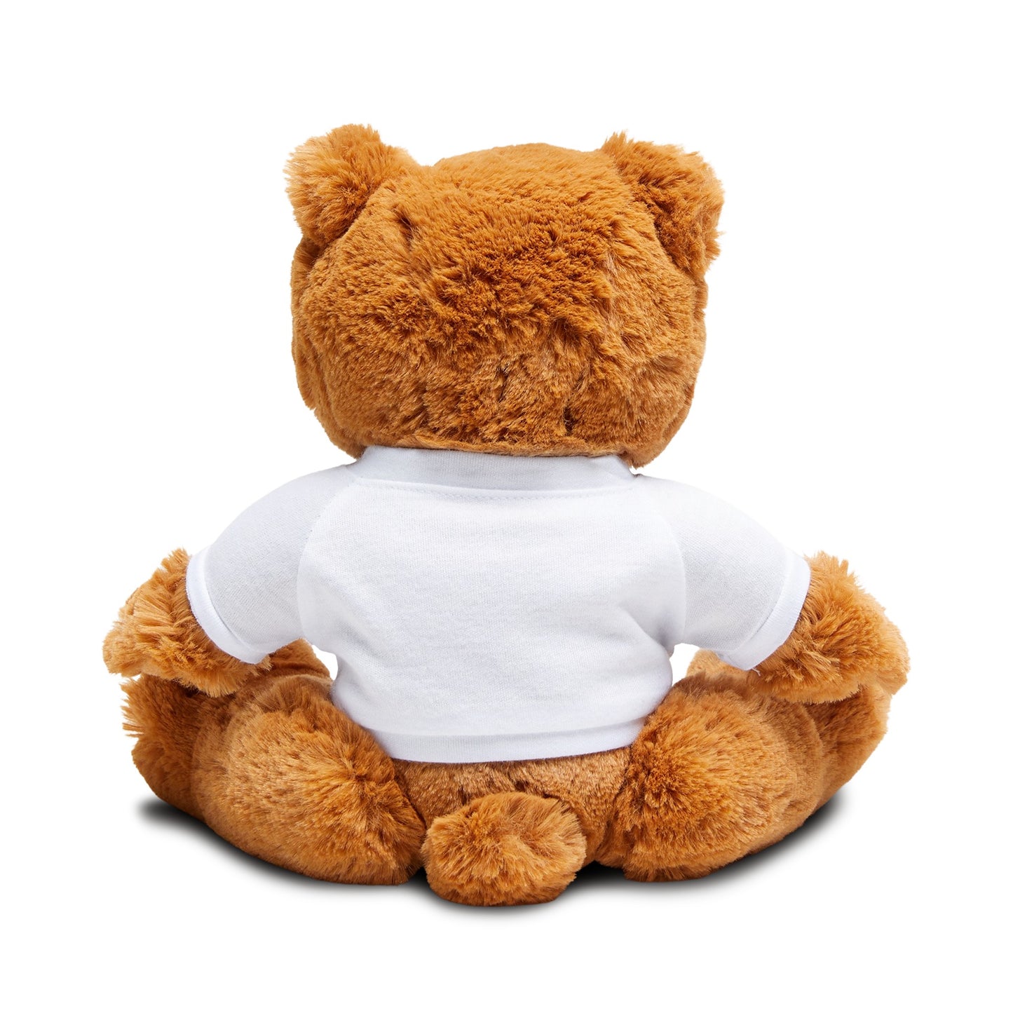 Global Link Travel Teddy Bear with T-Shirt