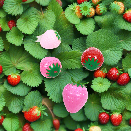 24-Pcs Strawberry Lip Balm Set: MIX COLOR / ONE