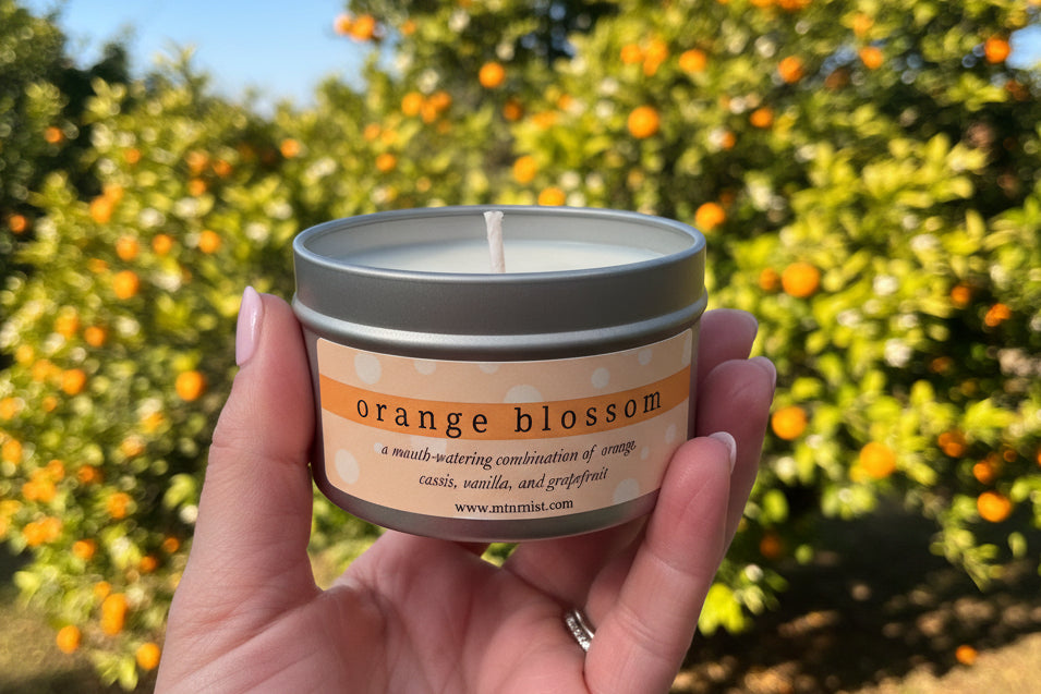 Lotion Candles - Orange Blossom