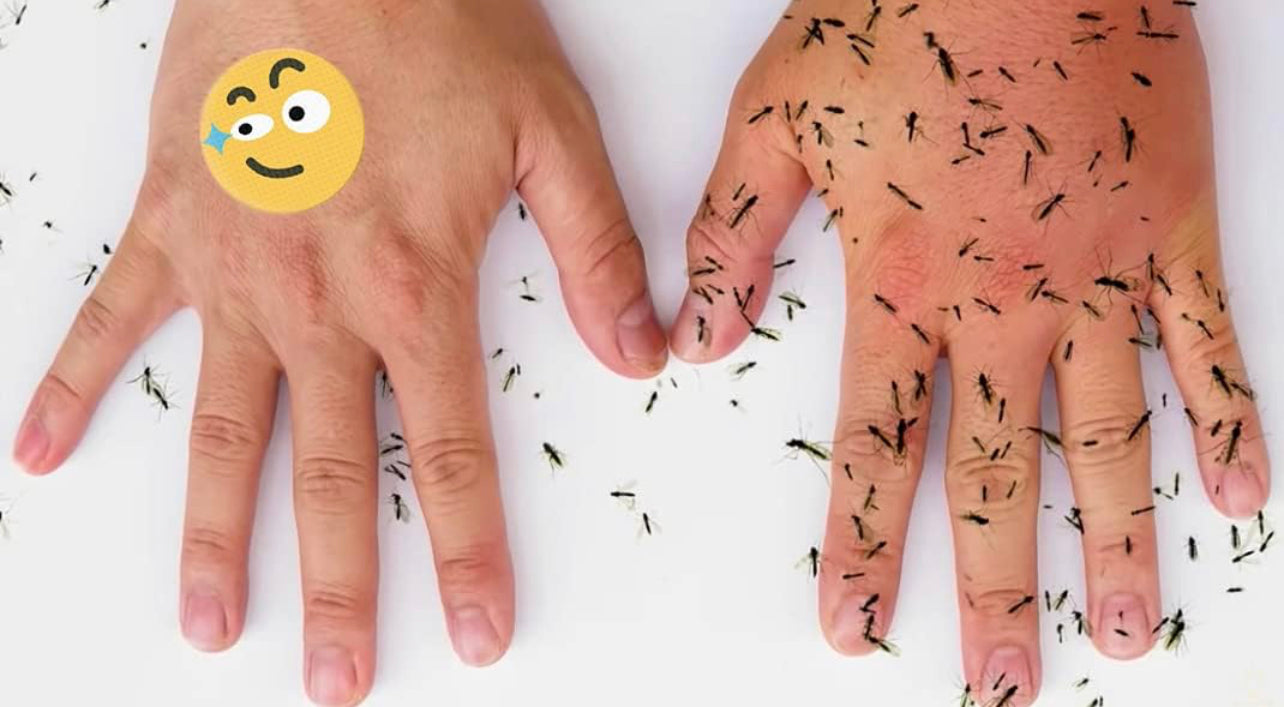 BuzzPatch - Bug, Mosquito, and Insect Repellent Stickers