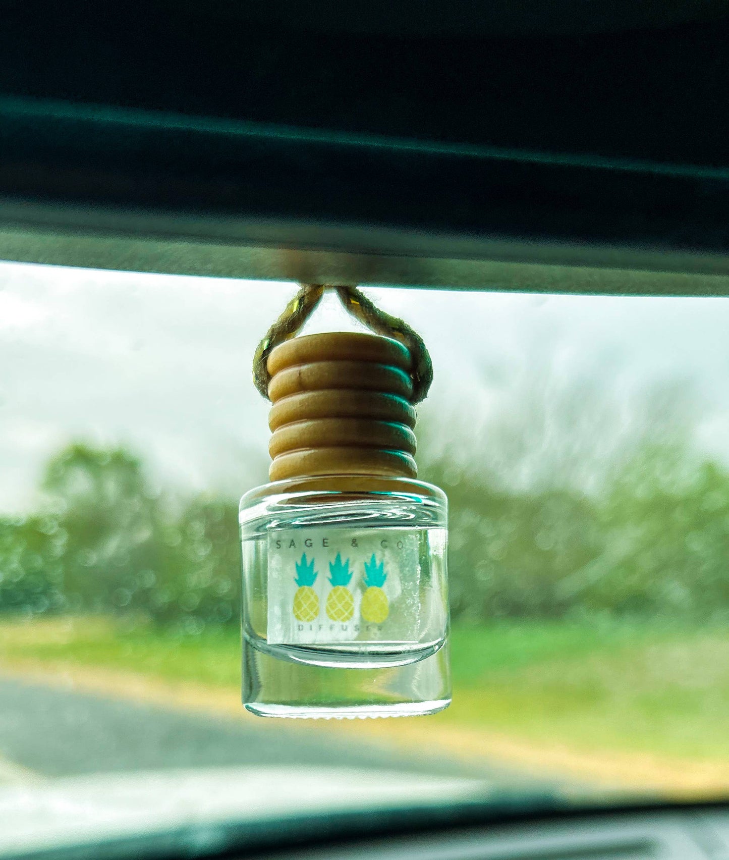 Cabana Boy Car Diffuser